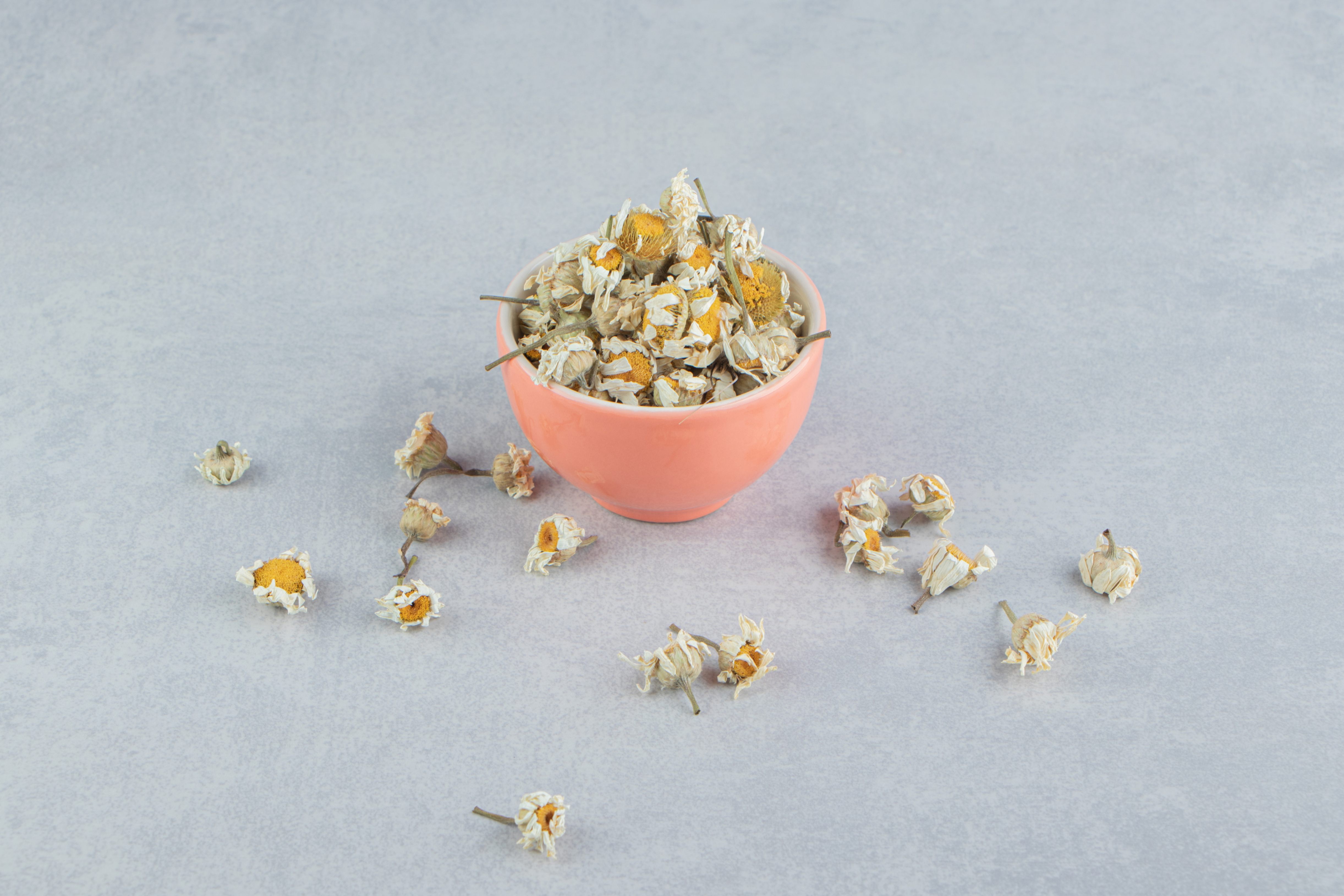 Harrods Global Harrods Global