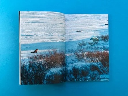 A spread from a themed art book showcasing a snowy landscape with wildlife, highlighting the journey concept through the image of a lone animal in the snow.