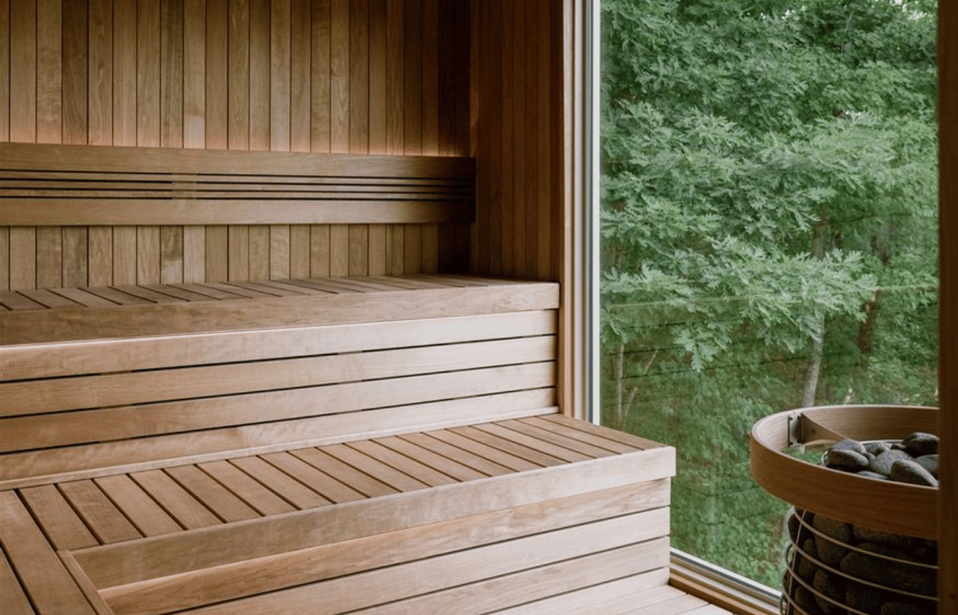 Interior of a modern sauna with thermowood benches, vertical wood wall cladding, and a large panoramic window overlooking a green forest landscape