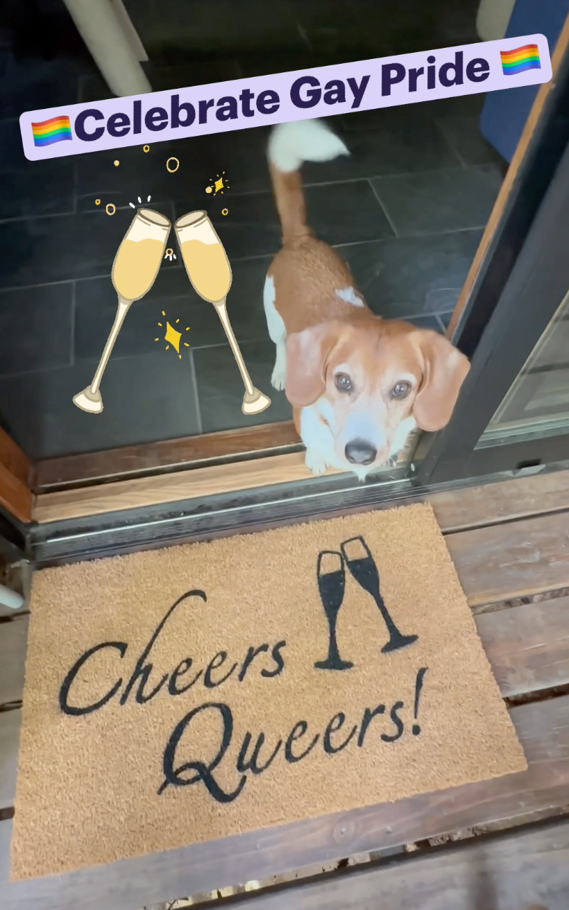 Cheers Queers! Queer Eye JVN Fab Five LGBTQ doormat for Gay Pride with a hapy beagle looking up