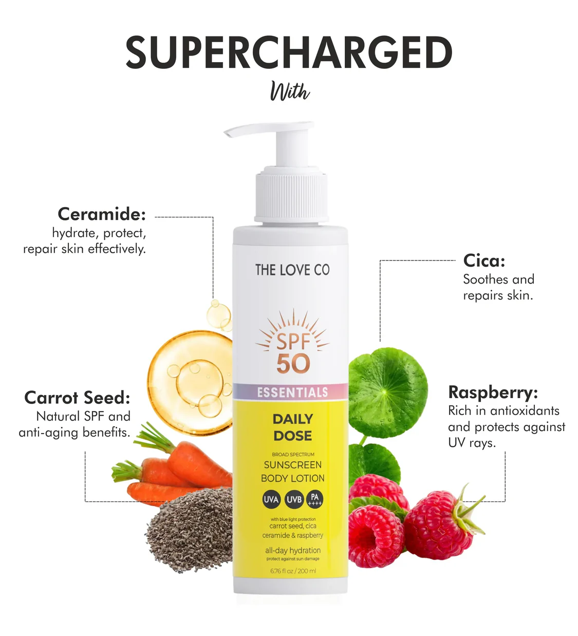sunscreen body lotion ingredients