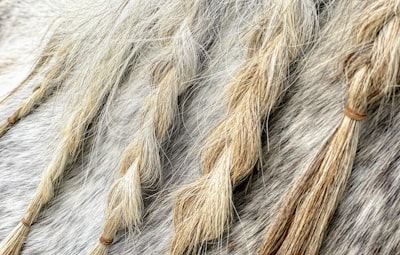 frizzy damaged hair