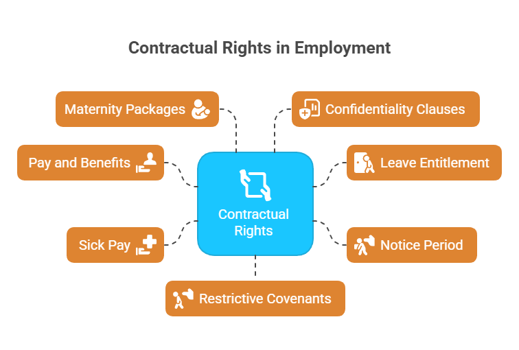Infographic showing contractual rights in employment