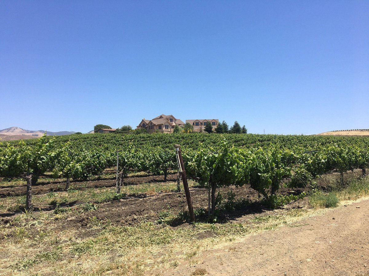 Wolff Vineyards in Edna Valley