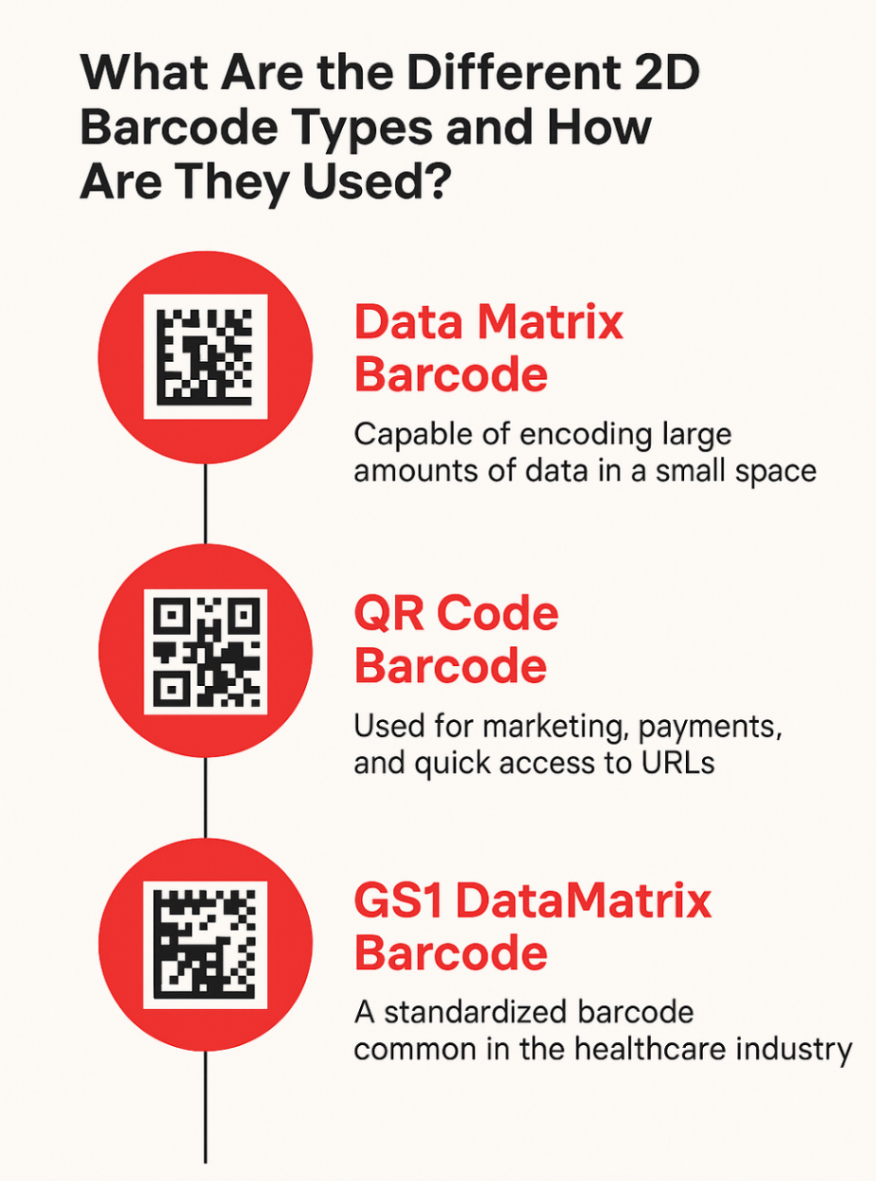 Infographic showcasing different type of 2D barcodes