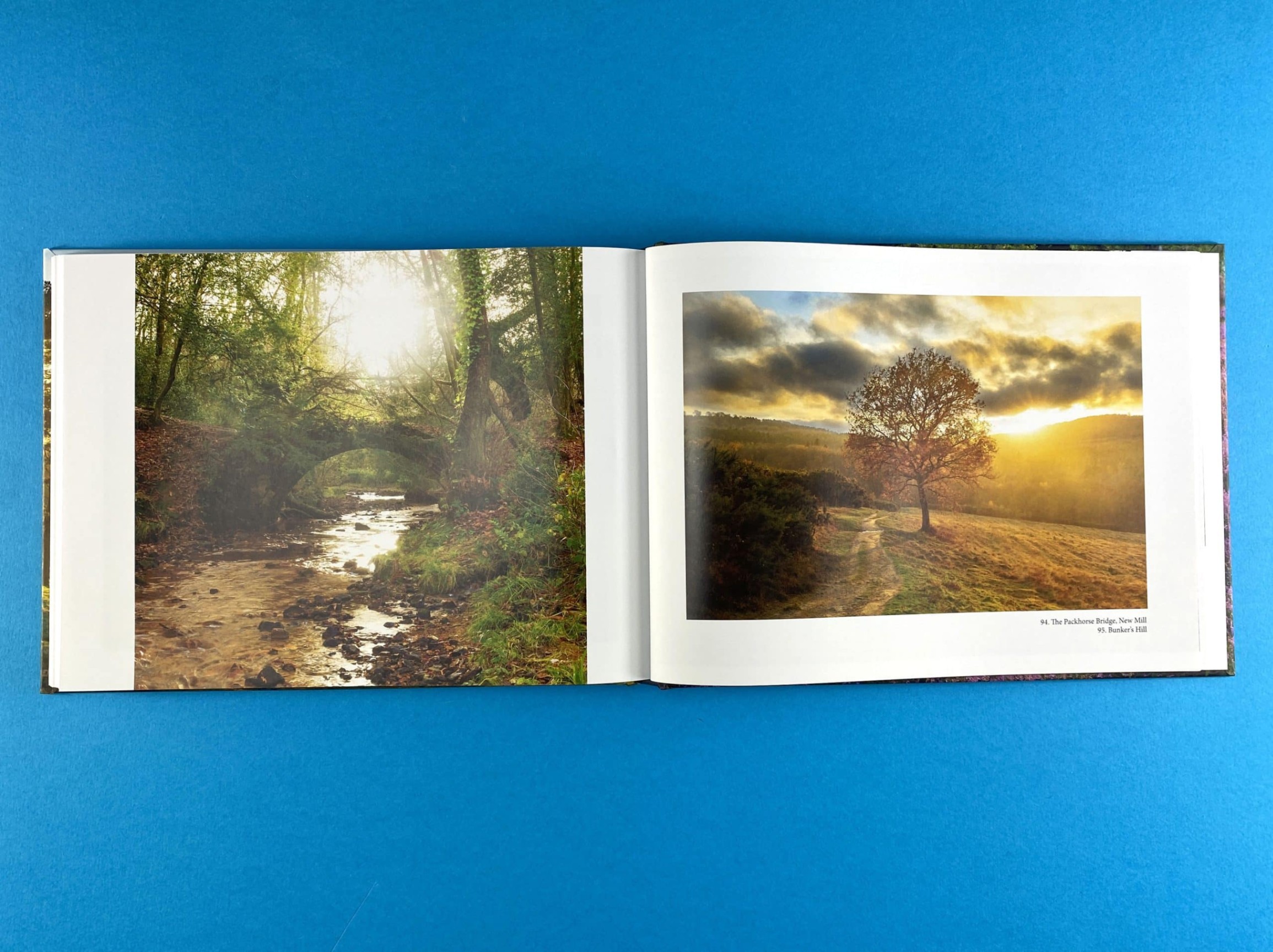 A spread from a nature-inspired art book featuring two scenic photographs of a peaceful forest with a bridge and a tree on a path, showcasing the beauty of nature as a source of artistic inspiration.