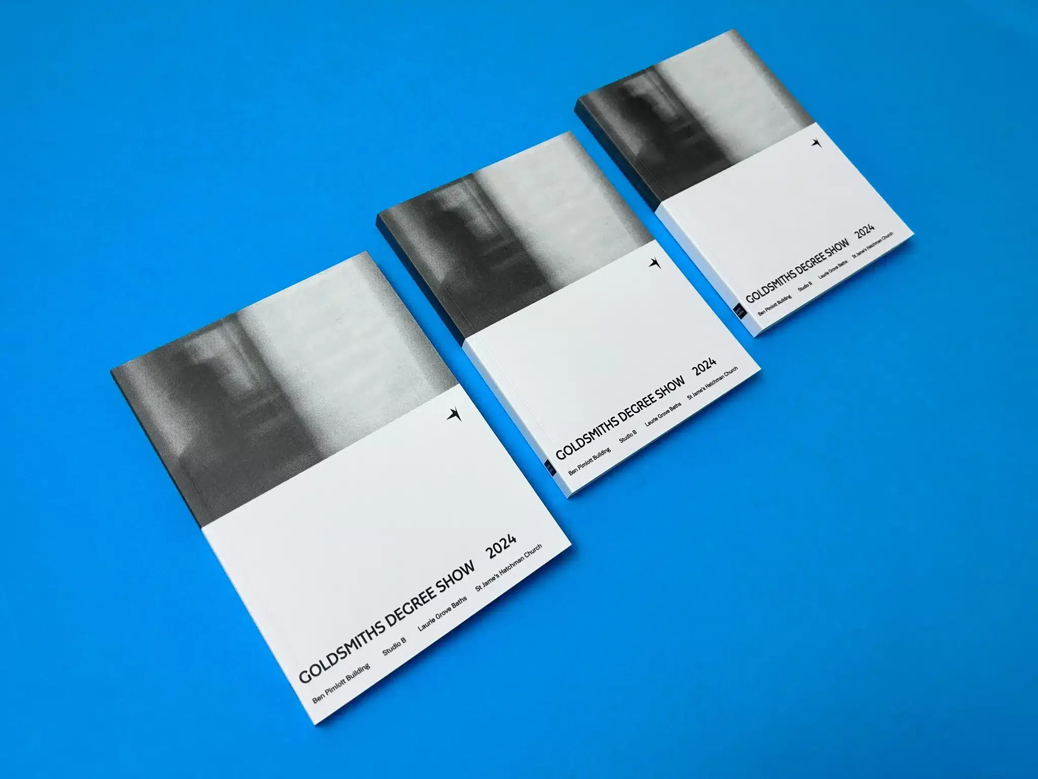 goldsmiths fine art catalogue 2024 cover