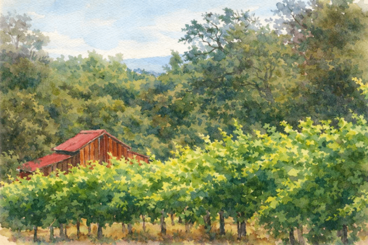 Westbrook vineyard scene