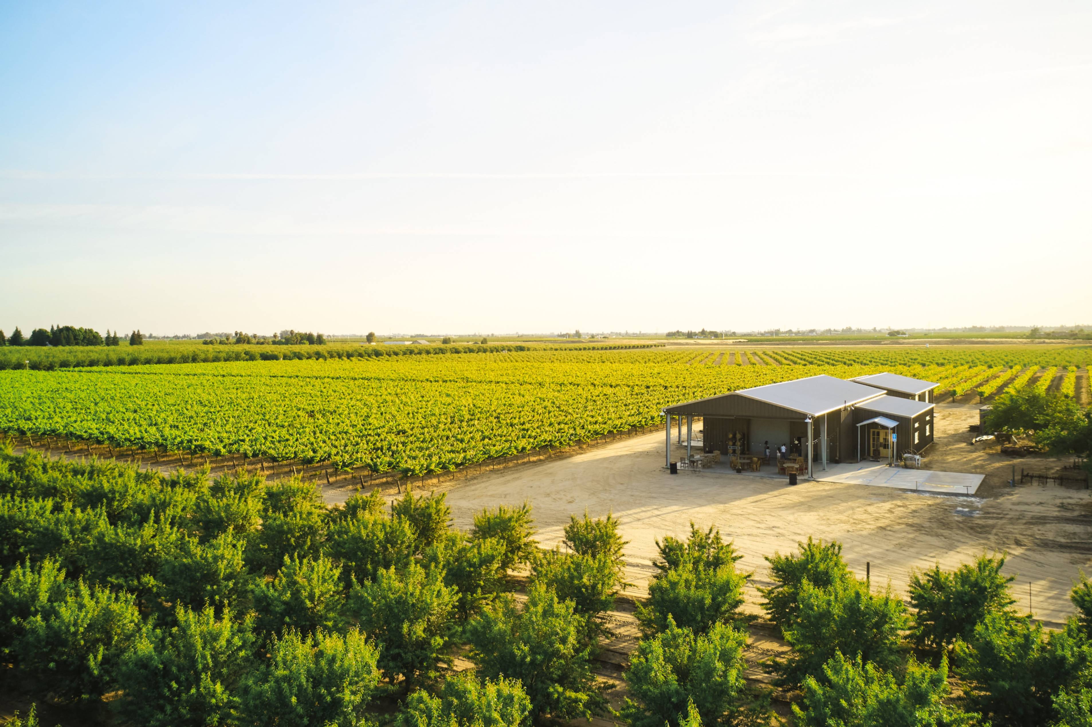 Bird's Eye View of Winery