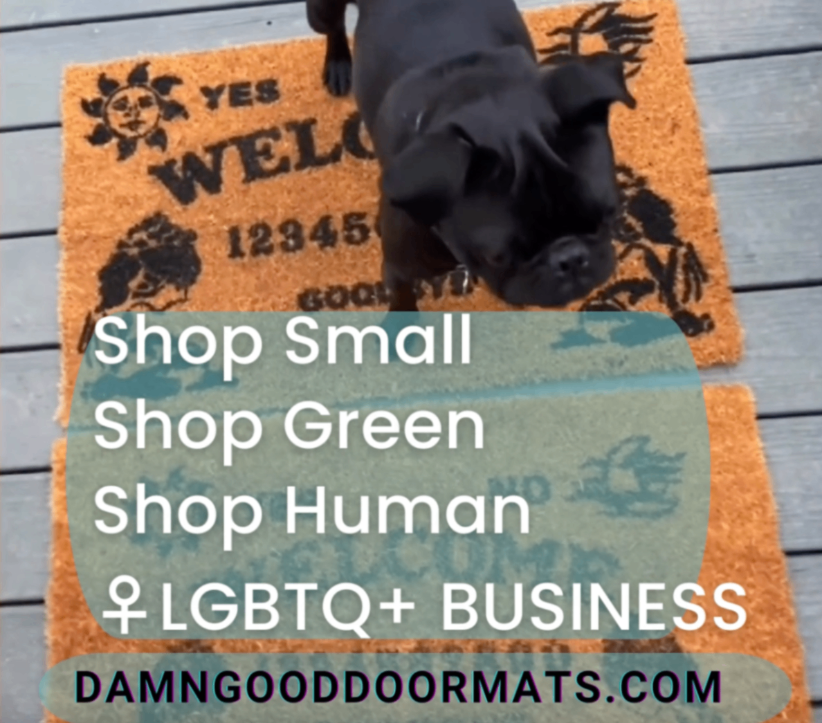 promotional graphic for LGBTQ woman owned business Damn Good Doormats