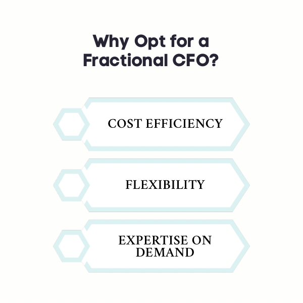 An infographic on why opt for a fractional CFO