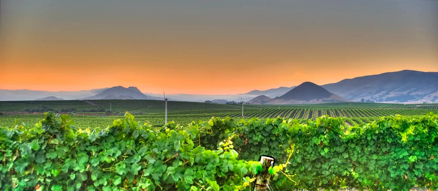 Edna Valley at Sunset