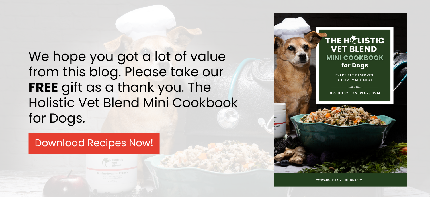Holistic Vet Blend Mini Cookbook for Dogs