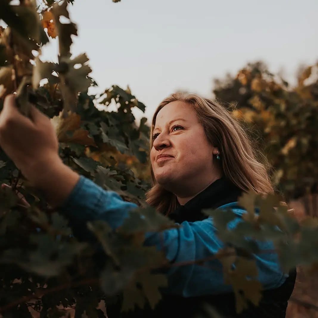 Inspecting the vineyard vines