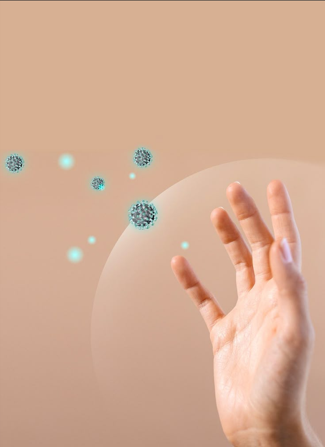 The Love Co The Love Co